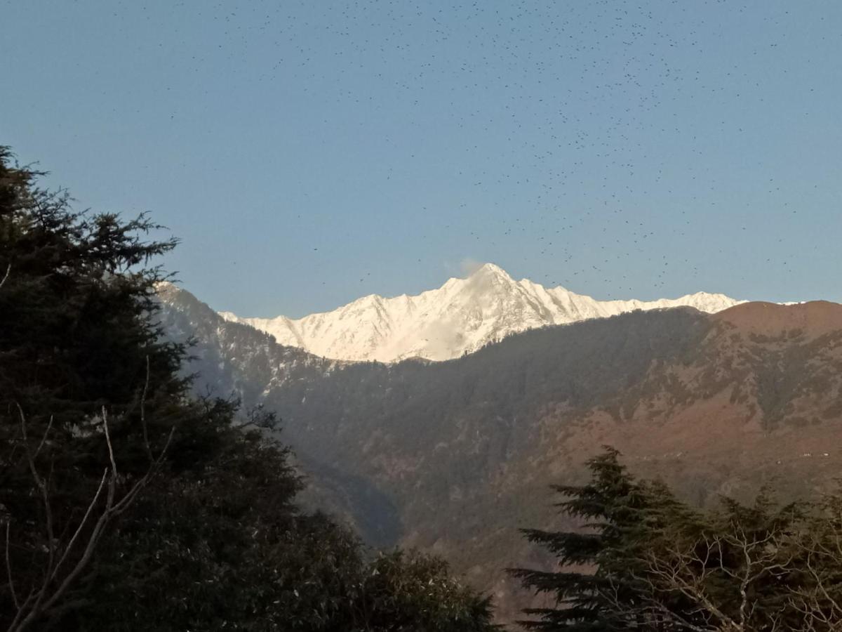 Yoga House Hotel McLeod Ganj Exterior photo