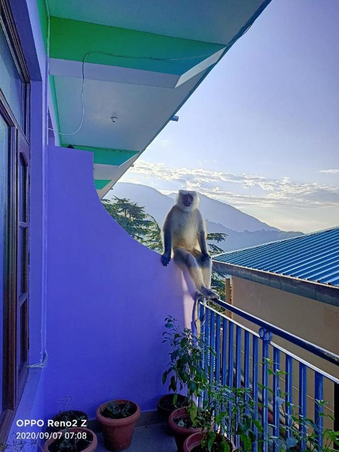 Yoga House Hotel McLeod Ganj Exterior photo