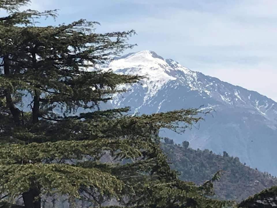 Yoga House Hotel McLeod Ganj Exterior photo